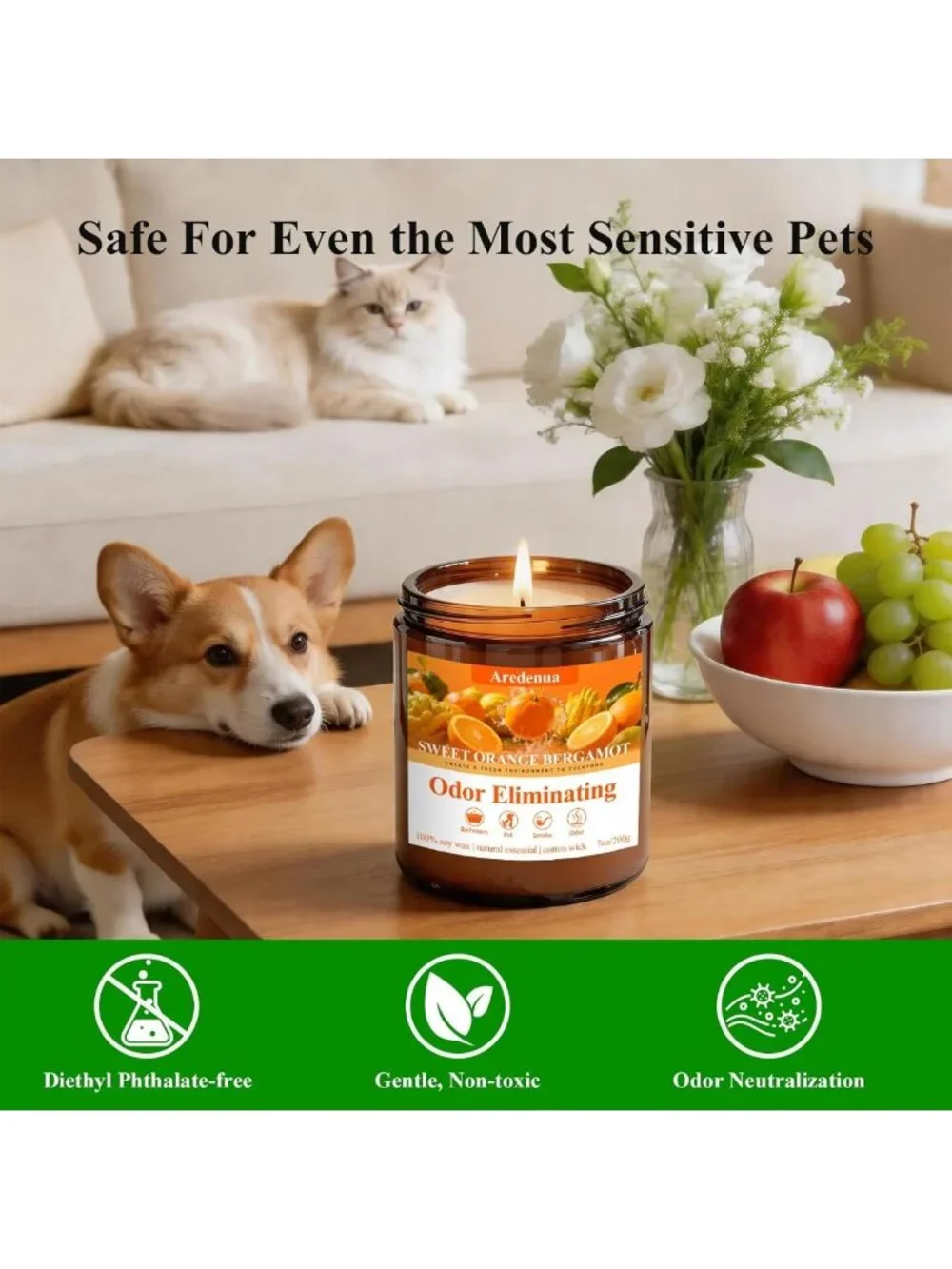 Sweet Orange Odor Eliminating Soy Candle - 7oz, 50 Hour Burn, Freshens Air